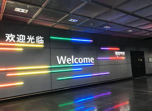 法兰克福机场 达到入口